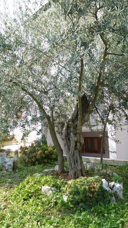 Apartments Libera Poreč Zewnętrze zdjęcie